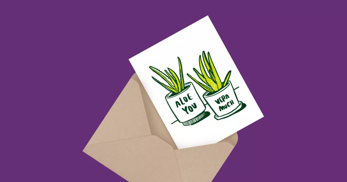 Aloe You