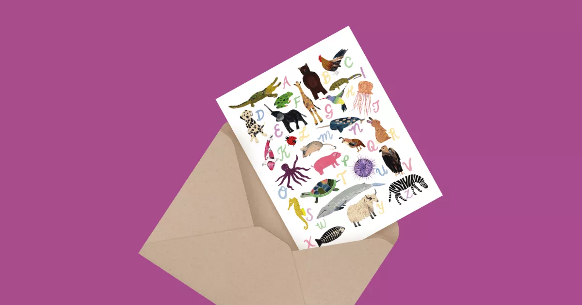 Alphabet Baby