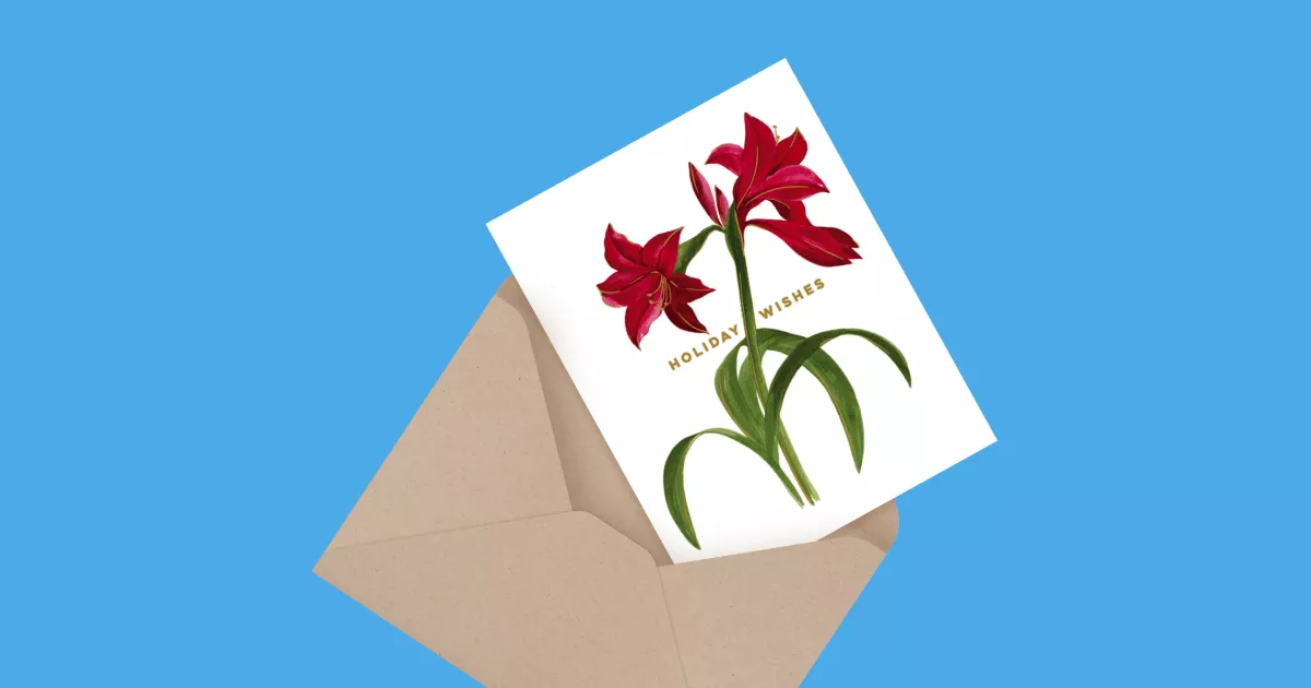 Amaryllis Holiday Wishes