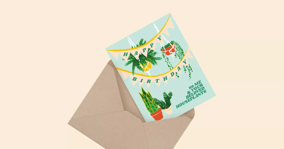 Beloved Houseplants