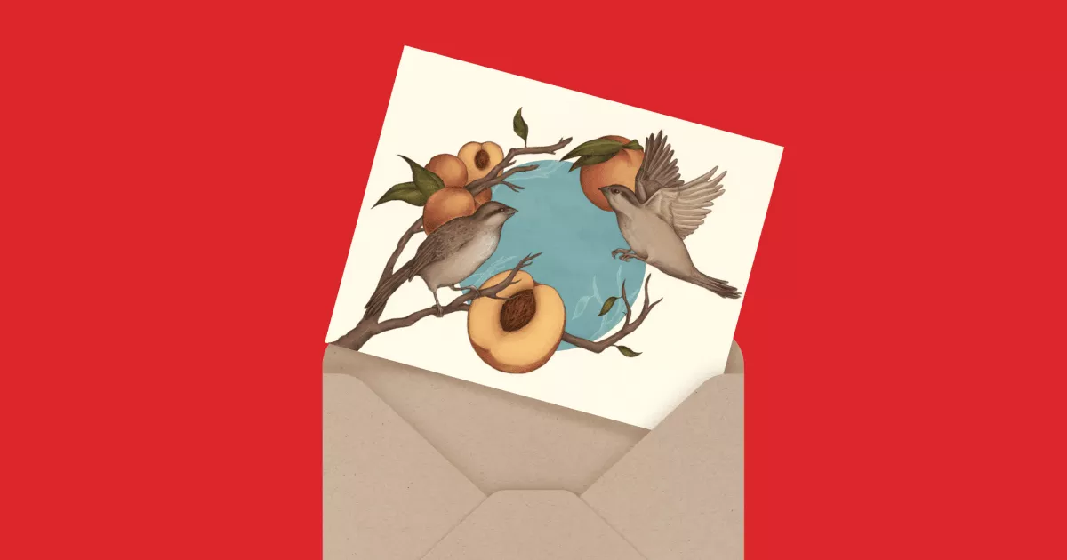 Birds and Peaches