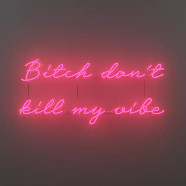 Bitch don't kill my vibeLED neon sign