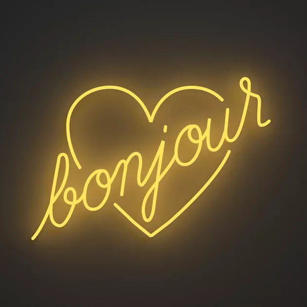 Bonjour by Jean André LED neon sign