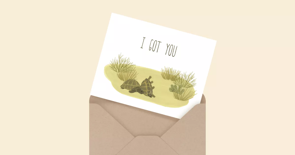 Box Turtles