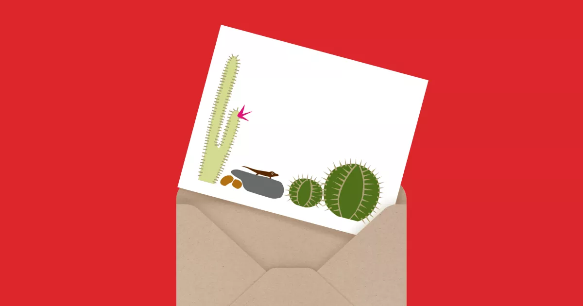 Cactus Lizard