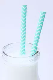 Chevron Paper Straws: Teal