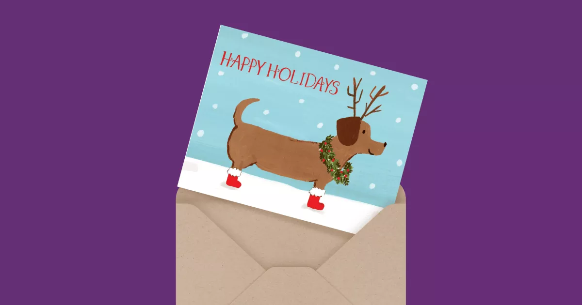 Dachshund
