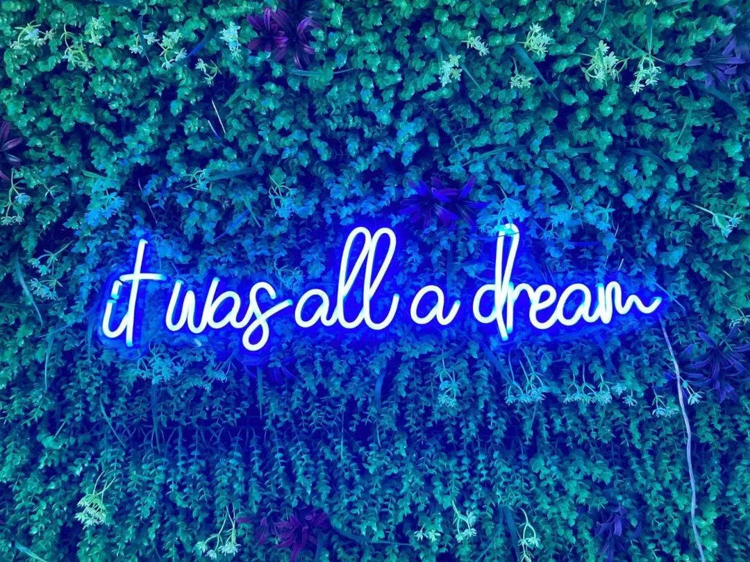 It was all a Dream Neon Sign