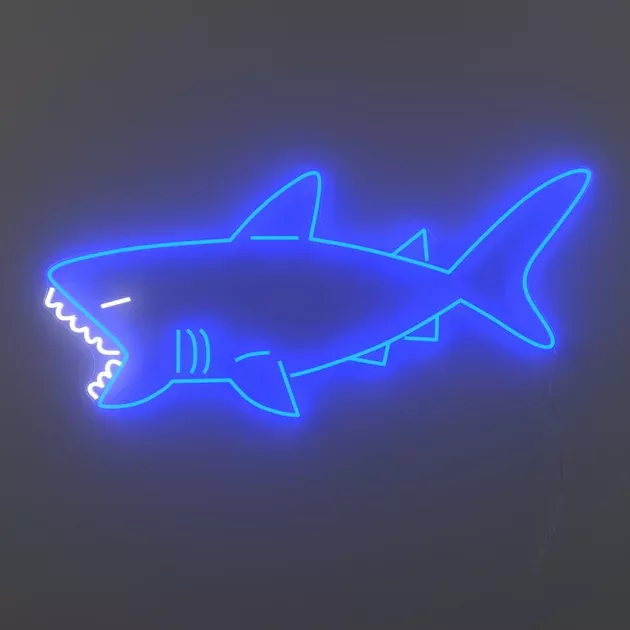 SharkLED neon sign