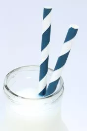 Stripe Paper Straws: Navy Blue