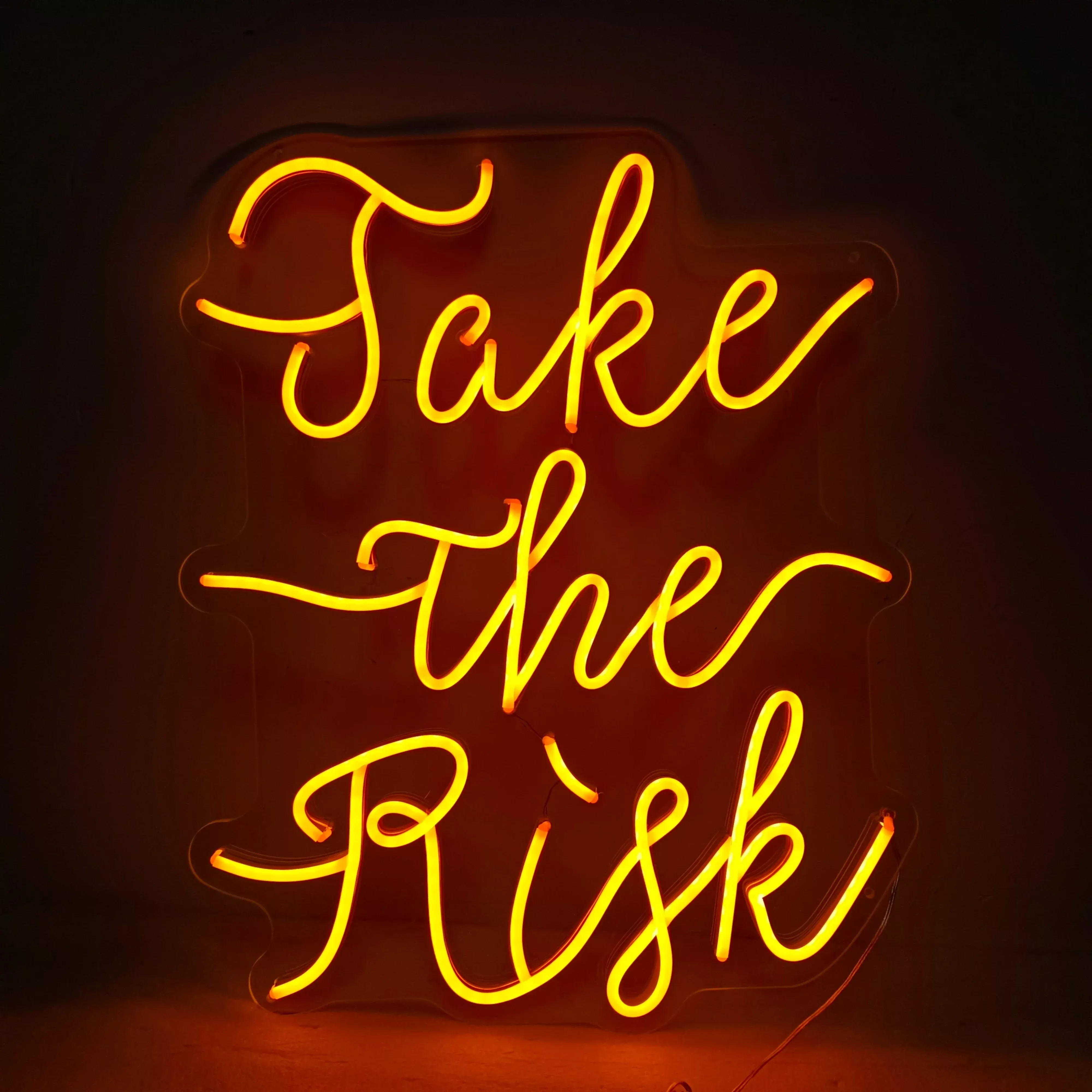 Take The Risk Neon Sign