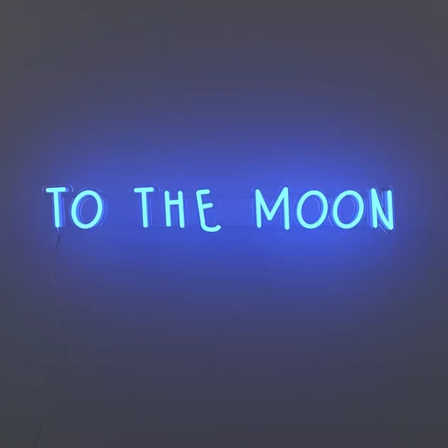 To the moonLED neon sign