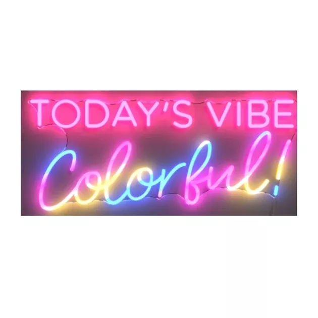 Today's VibeColorfulLED neon sign