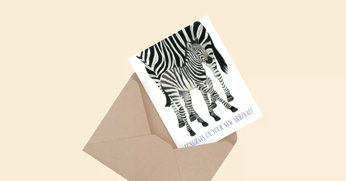 Zebra World